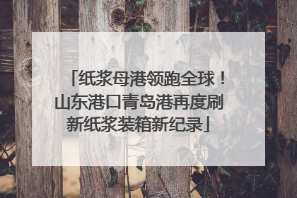 纸浆母港领跑全球！山东港口青岛港再度刷新纸浆装箱新纪录