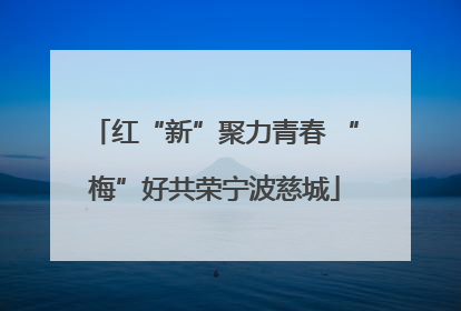 红“新”聚力青春 “梅”好共荣宁波慈城