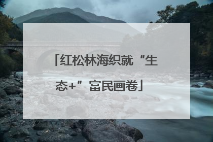 红松林海织就“生态+”富民画卷