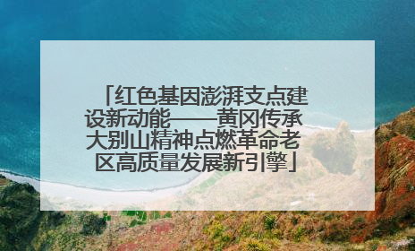 红色基因澎湃支点建设新动能——黄冈传承大别山精神点燃革命老区高质量发展新引擎
