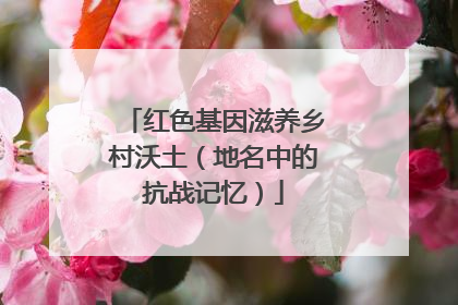 红色基因滋养乡村沃土（地名中的抗战记忆）