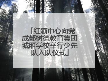 红领巾心向党 成都树德教育集团城厢学校举行少先队入队仪式