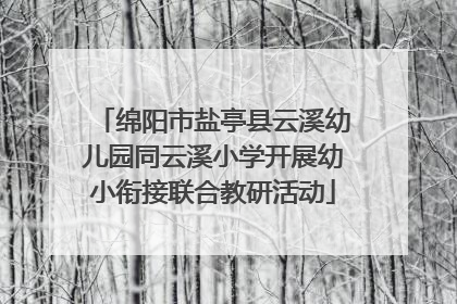 绵阳市盐亭县云溪幼儿园同云溪小学开展幼小衔接联合教研活动