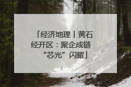 经济地理丨黄石经开区：聚企成链“芯光”闪耀