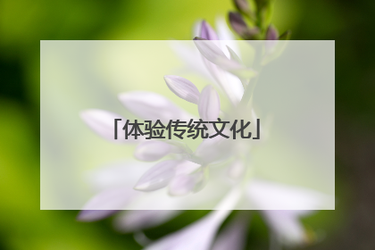 体验传统文化