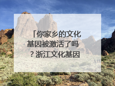 你家乡的文化基因被激活了吗？浙江文化基因图谱即将上线