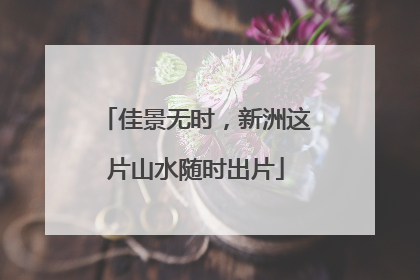 佳景无时，新洲这片山水随时出片