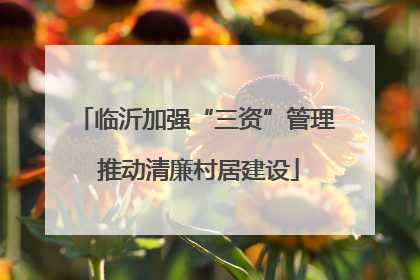 临沂加强“三资”管理 推动清廉村居建设