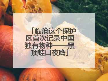 临沧这个保护区首次记录中国独有物种——黑顶蛙口夜鹰