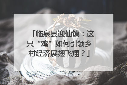 临泉县迎仙镇：这只“鸡”如何引领乡村经济展翅飞翔？