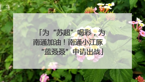 为“苏超”喝彩，为南通加油！南通小江豚“蓝叒叒”申请出战