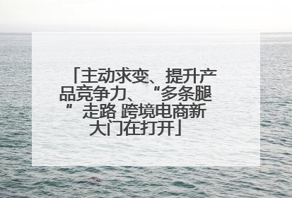 主动求变、提升产品竞争力、“多条腿”走路 跨境电商新大门在打开