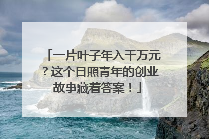 一片叶子年入千万元？这个日照青年的创业故事藏着答案！