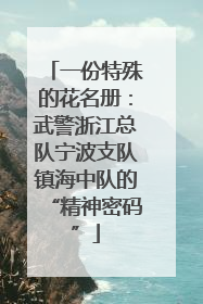 一份特殊的花名册：武警浙江总队宁波支队镇海中队的“精神密码”