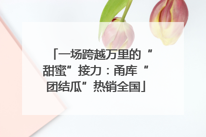 一场跨越万里的“甜蜜”接力：甬库“团结瓜”热销全国
