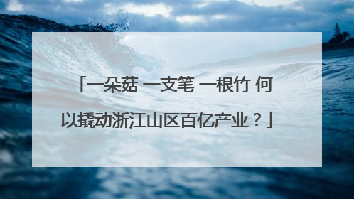 一朵菇 一支笔 一根竹 何以撬动浙江山区百亿产业？
