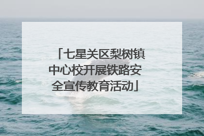 七星关区梨树镇中心校开展铁路安全宣传教育活动