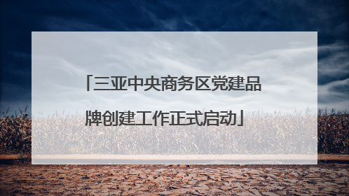 三亚中央商务区党建品牌创建工作正式启动