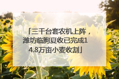 三千台套农机上阵，潍坊临朐夏收已完成14.8万亩小麦收割