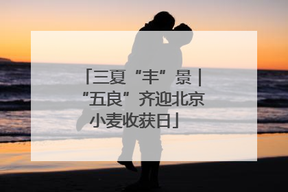 三夏“丰”景｜“五良”齐迎北京小麦收获日