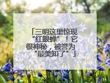 三明这里惊现“红眼蝉”！它很神秘，被誉为“最美知了”