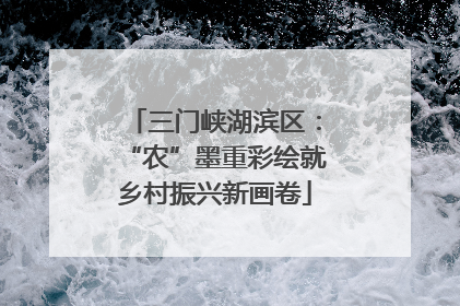 三门峡湖滨区：“农”墨重彩绘就乡村振兴新画卷