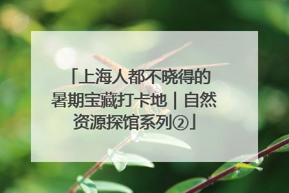上海人都不晓得的 暑期宝藏打卡地｜自然资源探馆系列②