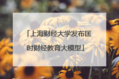 上海财经大学发布匡时财经教育大模型