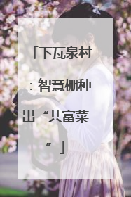 下瓦泉村：智慧棚种出“共富菜”