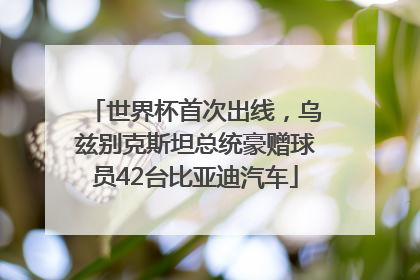 世界杯首次出线，乌兹别克斯坦总统豪赠球员42台比亚迪汽车