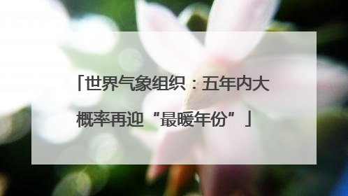 世界气象组织：五年内大概率再迎“最暖年份”