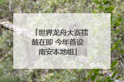 世界龙舟大赛擂鼓在即 今年首设南安本地组