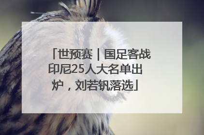 世预赛｜国足客战印尼25人大名单出炉，刘若钒落选