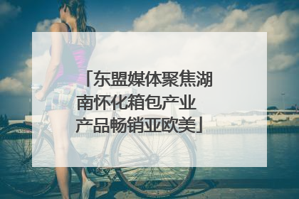 东盟媒体聚焦湖南怀化箱包产业 产品畅销亚欧美