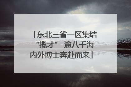 东北三省一区集结“揽才” 逾八千海内外博士奔赴而来