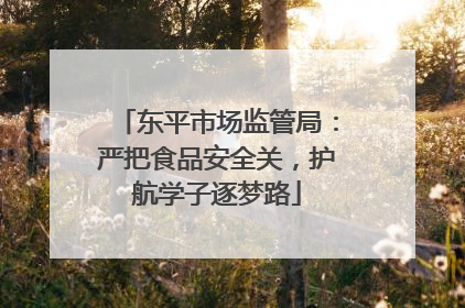 东平市场监管局：严把食品安全关，护航学子逐梦路