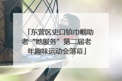 东营区史口镇巾帼助老“她服务”第二届老年趣味运动会落幕