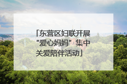 东营区妇联开展“爱心妈妈”集中关爱陪伴活动