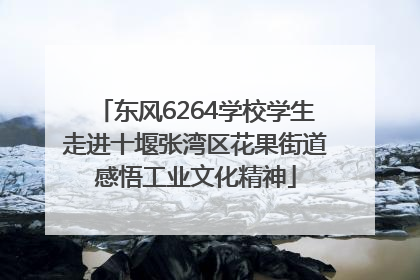 东风6264学校学生走进十堰张湾区花果街道感悟工业文化精神