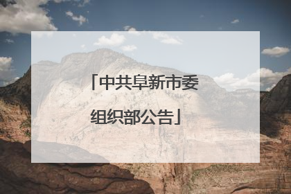 中共阜新市委组织部公告