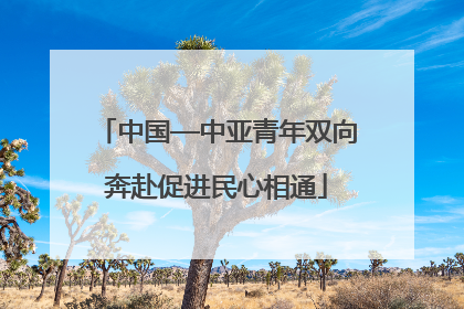 中国—中亚青年双向奔赴促进民心相通