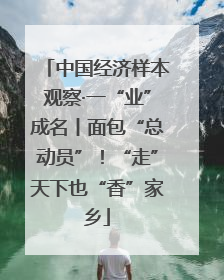 中国经济样本观察·一“业”成名丨面包“总动员”！“走”天下也“香”家乡