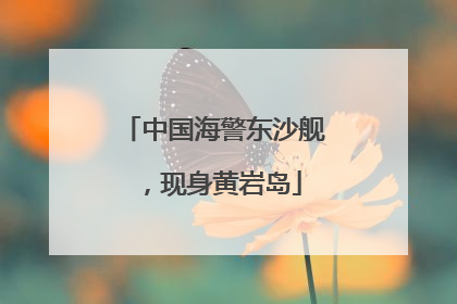 中国海警东沙舰，现身黄岩岛
