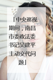 中央巡视期间，南昌市委政法委书记吴建平主动交代问题