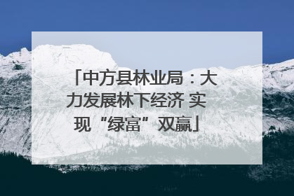 中方县林业局：大力发展林下经济 实现“绿富”双赢