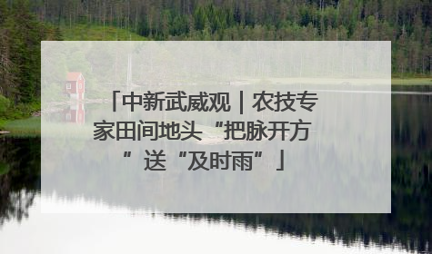 中新武威观｜农技专家田间地头“把脉开方”送“及时雨”