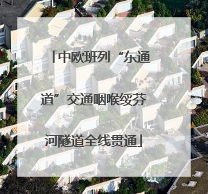 中欧班列“东通道”交通咽喉绥芬河隧道全线贯通