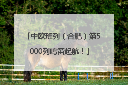 中欧班列（合肥）第5000列鸣笛起航！