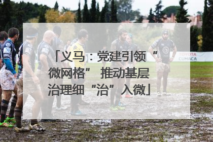 义马：党建引领“微网格” 推动基层治理细“治”入微