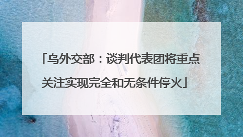 乌外交部：谈判代表团将重点关注实现完全和无条件停火
